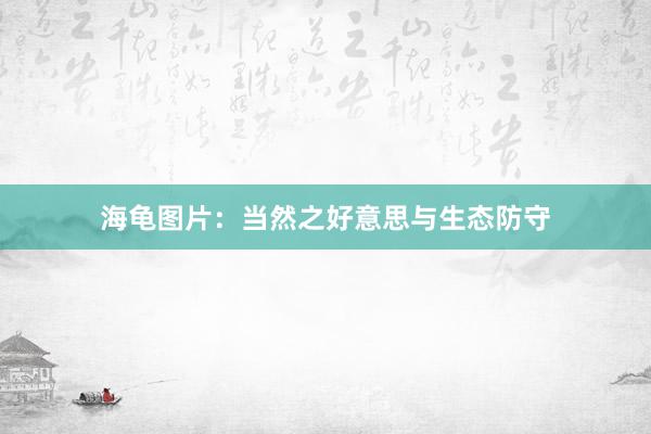 海龟图片：当然之好意思与生态防守